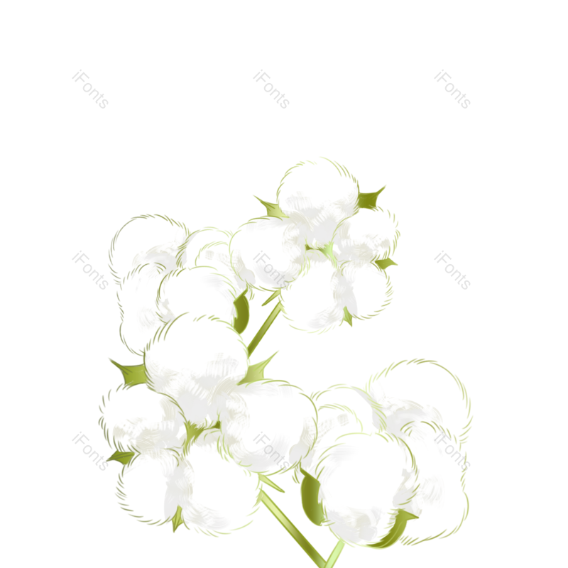 花朵图片,植物元素,PNG,免抠素材